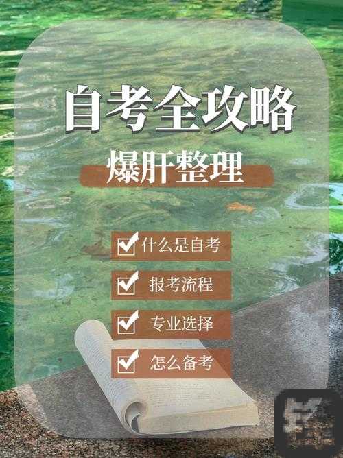 爆肝整理！混沌与秩序速成攻略，新手3天逆袭大佬必备！