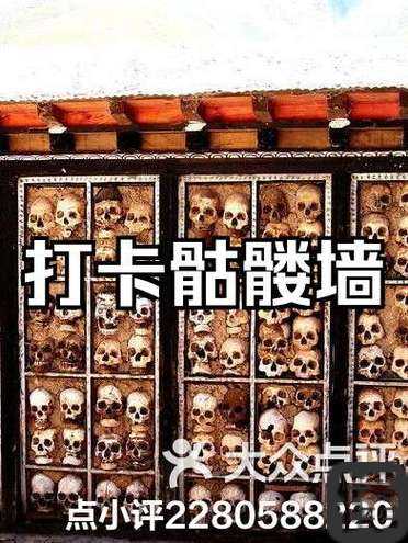 QQ仙境峡谷花猪绝美打卡点！3分钟带你速找萌宠必刷路线🔥