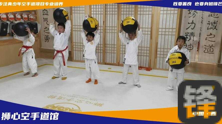 零基础必看！空手道超全干货攻略，30天变身实战达人！