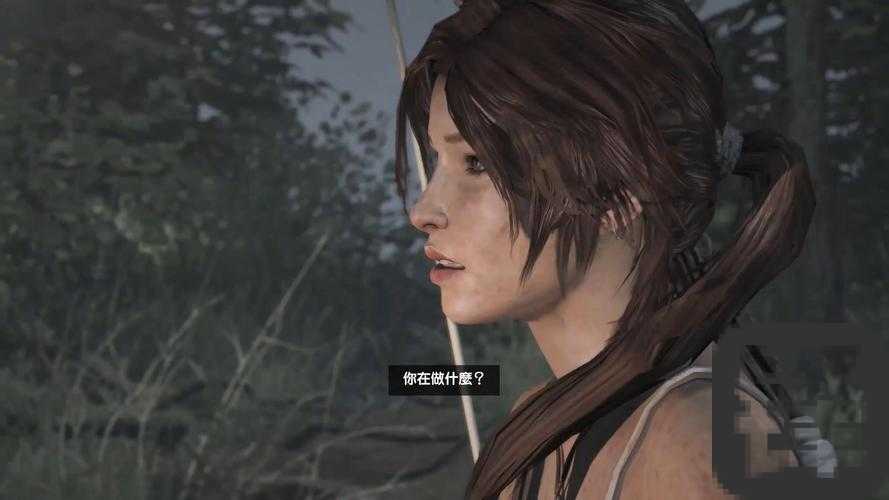 古墓丽影9N卡跳出崩溃？5招教你秒治显卡闪退！