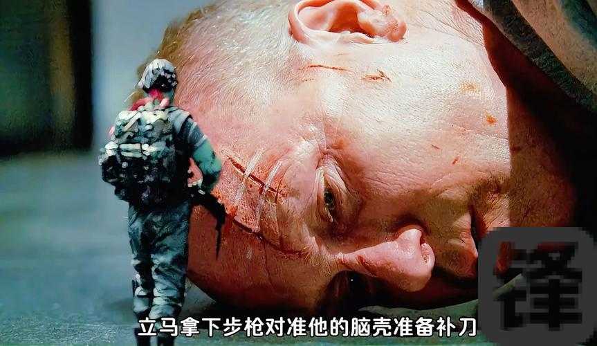 玩具士兵黑屏退出崩溃？5步搞定！零基础教程拯救卡顿噩梦